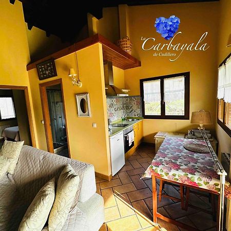 Apartamentos Rurales La Carbayala Oviñana Zewnętrze zdjęcie