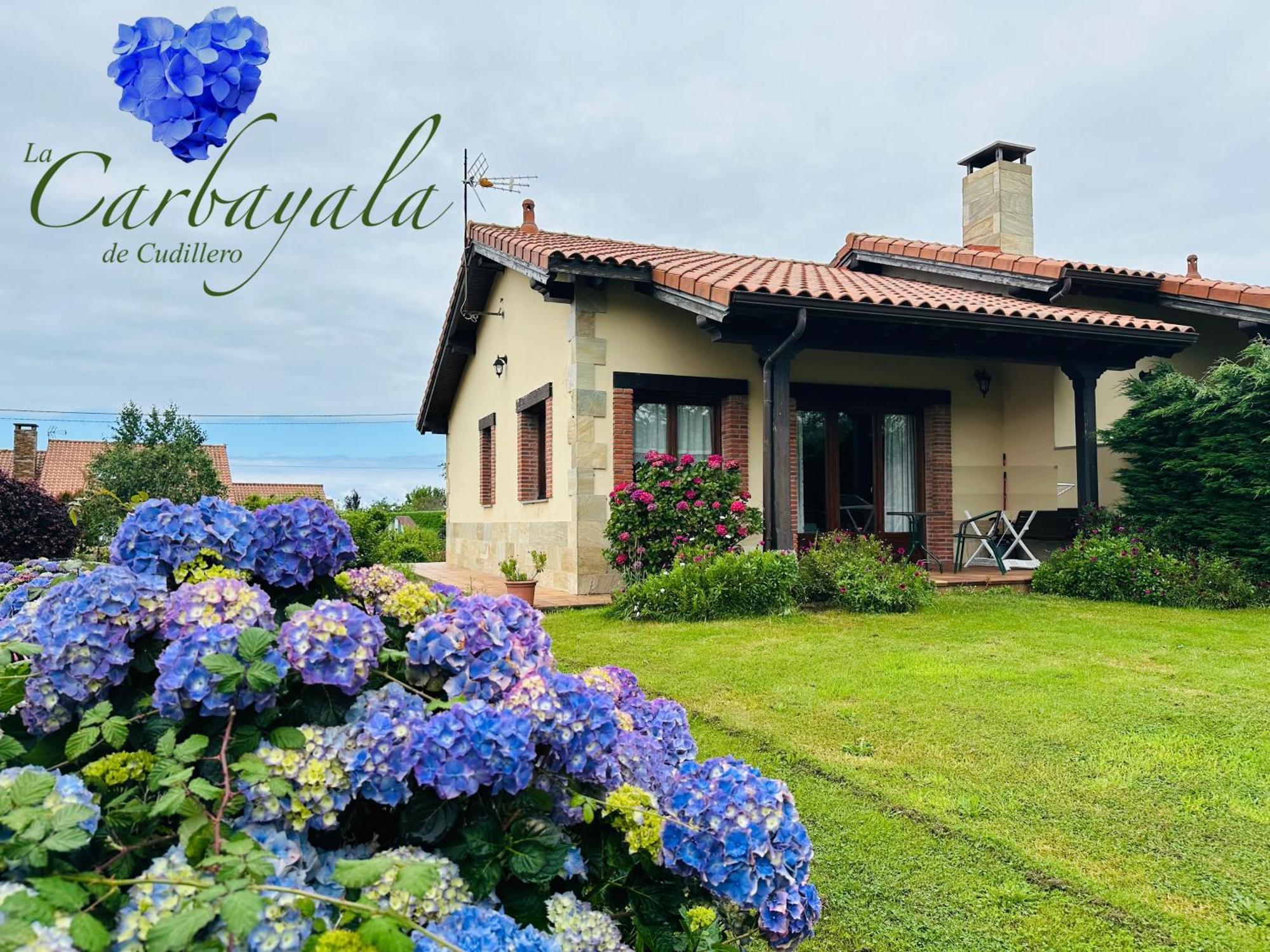 Apartamentos Rurales La Carbayala Oviñana Zewnętrze zdjęcie