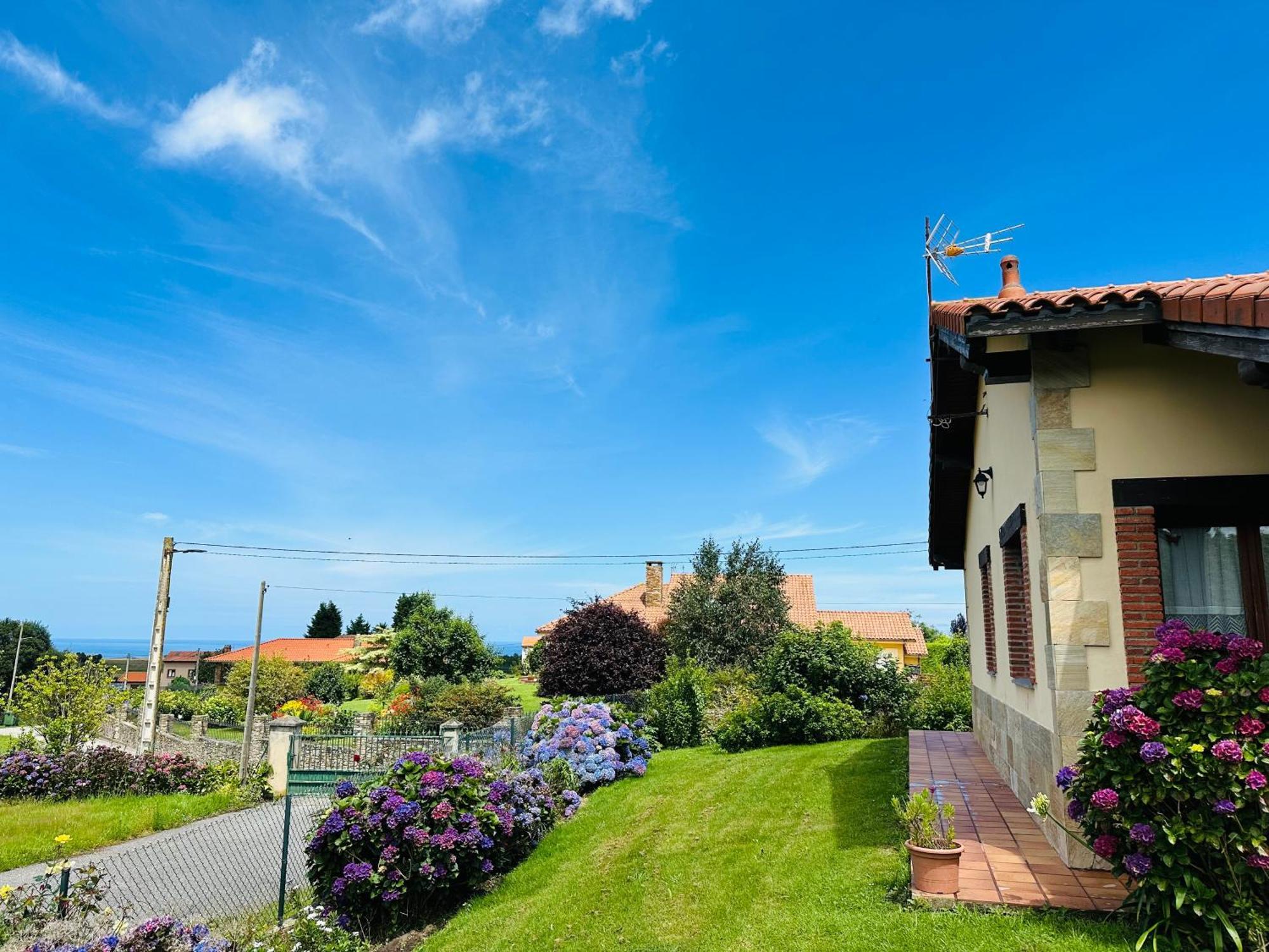 Apartamentos Rurales La Carbayala Oviñana Zewnętrze zdjęcie