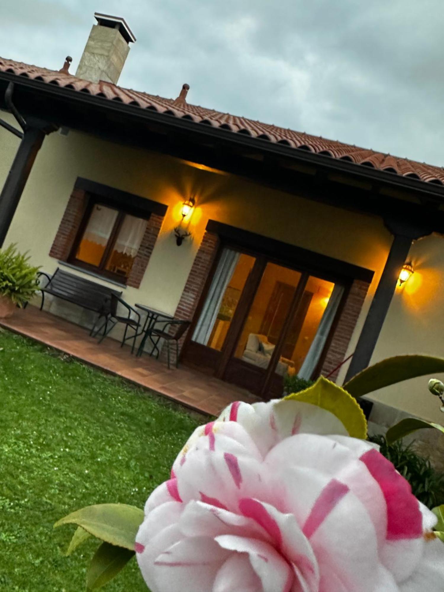 Apartamentos Rurales La Carbayala Oviñana Zewnętrze zdjęcie