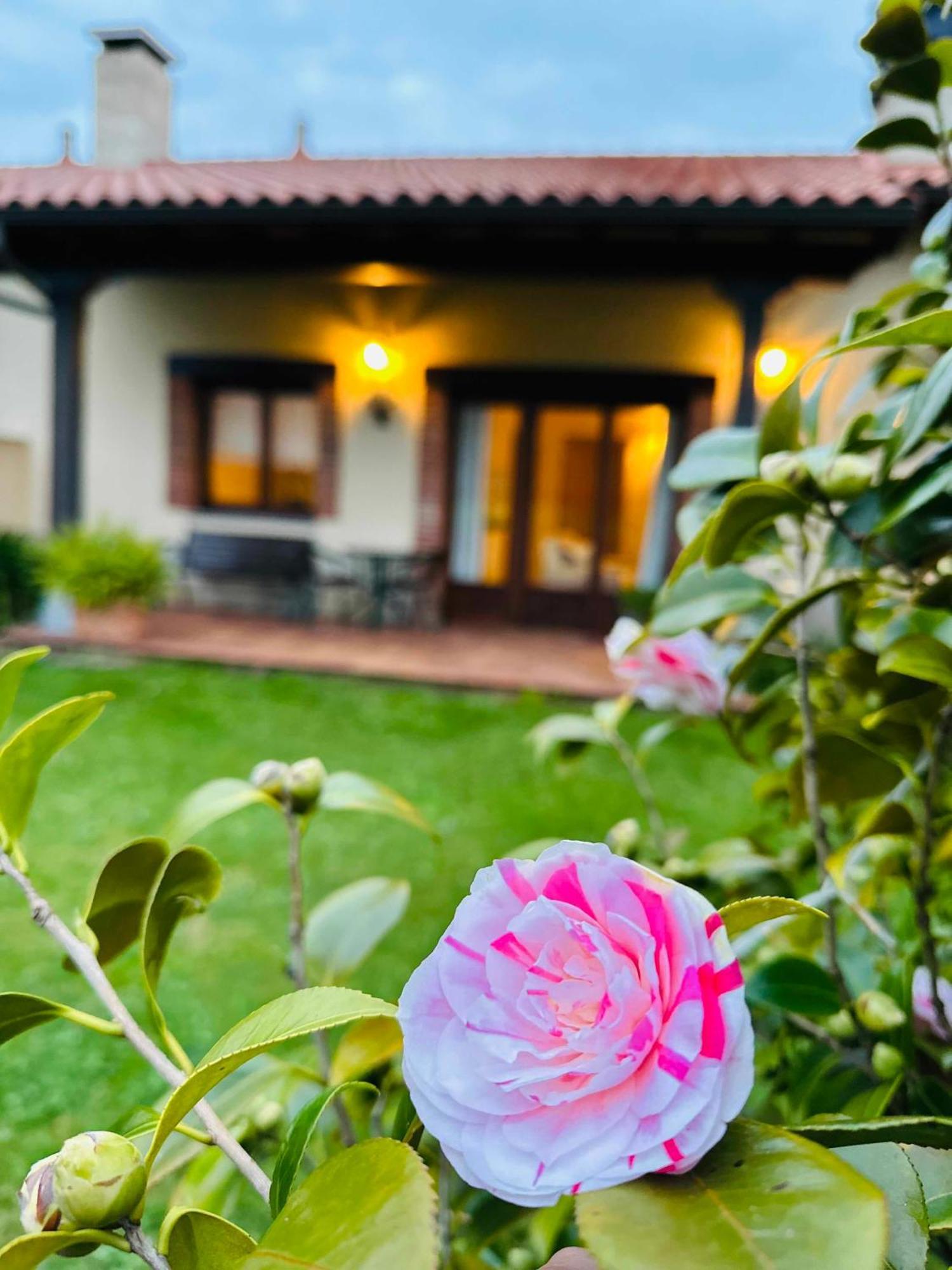 Apartamentos Rurales La Carbayala Oviñana Zewnętrze zdjęcie